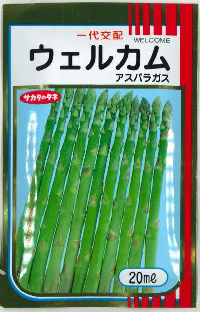 その他アスパラガスウェルカム20ml　（株）サカタのタネ