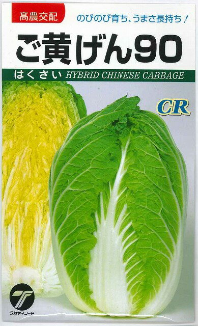 はくさい。購入しないでください。 楽天市場】白菜 黄 90の通販