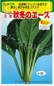 小松菜秋冬のエース　10mlトキタ種苗（株）
