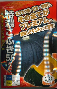 かぼちゃ特濃こふき5.6　100粒ナント種苗