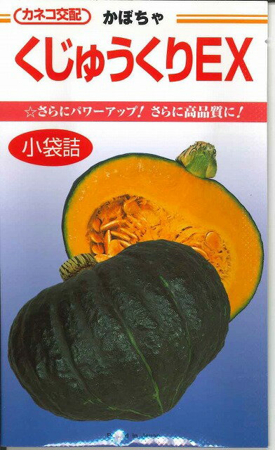 かぼちゃくじゅうくりEX　10粒カネコ交配