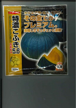 かぼちゃ特濃こふき5.6　500粒ナント種苗