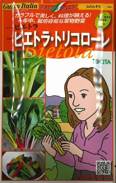 ꡼եȥͥȤ㤨֥ꥢ ӥȥ顦ȥꥳ 60γʳ20γ ȥ(פβǤʤ360ߤˤʤޤ