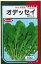 葉物 ルッコラ オデッセイ ロケット 10ml (株)サカタのタネ 520円