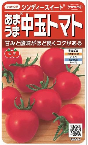 トマト　中玉トマトシンディースイート21粒（株）サカタのタネ 実咲500