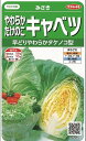 キャベツみさき約75粒（株）サカタのタネ 実咲400