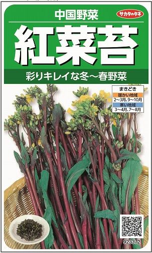 紅菜苔 約2000粒 (株)サカタのタネ 実咲250（002995）のサムネイル