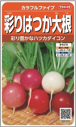 大根　はつかだいこんカラフルファイブ　約350粒　 （株）サカタのタネ　実咲