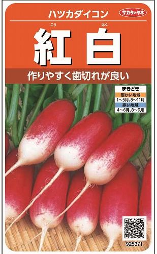 大根　はつかだいこん紅白　　約525粒（株）サカタのタネ　実咲