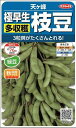 枝豆 天ヶ峰 約50粒 (株)サカタのタネ 実咲250(003150)
