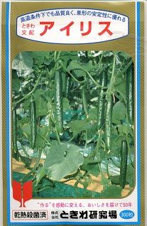 きゅうり アイリス 350粒 (株)ときわ研究場
