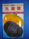かぼちゃ 九重栗 100粒 カネコ種苗(株)