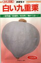かぼちゃ 白い九重栗 100粒 カネコ種苗(株)