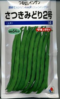 いんげんさつきみどり2号　1dl（およそ270粒）　タキイ種苗のサムネイル