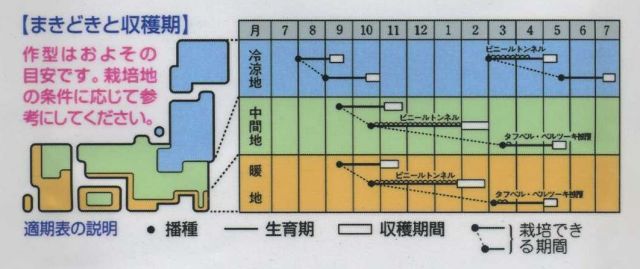 野菜種かぶ福小町4ｍｌタキイ交配