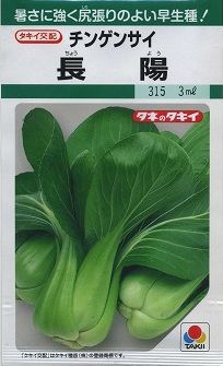 中国野菜チンゲンサイ長陽　20ml タキイ種苗（株）