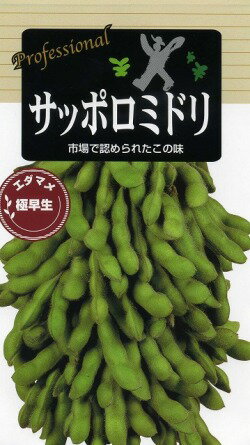 枝豆サッポロミドリ70ml およそ130粒 雪印種苗 株 