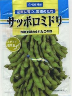 枝豆 サッポロミドリ1L 雪印種苗 株 