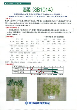 枝豆　恋姫　1L 雪印種苗