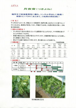 枝豆　月夜音　1L　雪印種苗