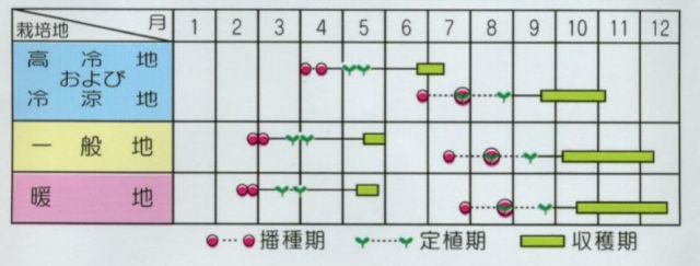 野菜種ブロッコリー幸よし1.5ｍｌみかど協和