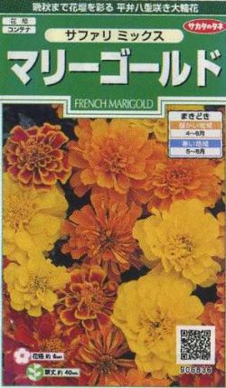 花の種 マリーゴールドサファリミックス約29粒 （株）サカタのタネ 実咲