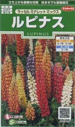 花の種 ルピナスラッセルミナレットミックス約20粒　（株）サカタのタネ 実咲