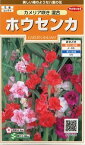 花の種 ホウセンカ　カメリア咲き混合　約63粒（株）サカタのタネ 実咲