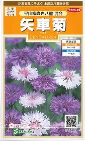 矢車菊 矢車草 ヤグルマギクとヤグルマソウはどちらが正しい名前 アタマの中は花畑