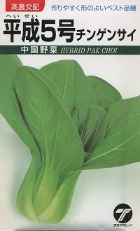 中国野菜チンゲンサイ平成5号　10ml タカヤマシード