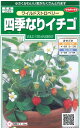花の種　ワイルドストロベリー（四季なりイチゴ） 約143粒（株）サカタのタネ 実咲