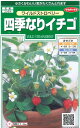 花の種 ワイルドストロベリー（四季なりイチゴ） 約143粒（株）サカタのタネ 実咲