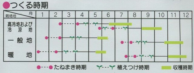 野菜種ブロッコリーエンデバーＳＰ2000粒タキイ交配