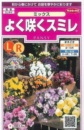 花の種　よく咲くスミレミックス　40粒（株）サカタのタネ 実咲