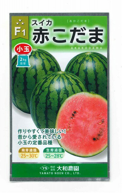 スイカ 赤こだま西瓜 7粒 （株）大和農園
