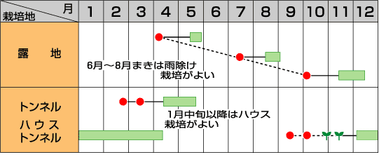 中葉春菊　さとゆたか　1L