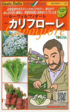 野菜種　イタリア野菜カリフローレ　50粒 トキタ種苗