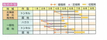 枝豆　月夜音　1L　雪印種苗