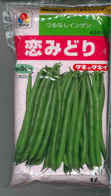 豆類　いんげん恋みどり　1L タキイ