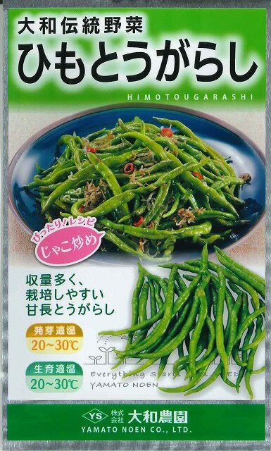 とうがらし ひもとうがらし1ml （株） 大和農園
