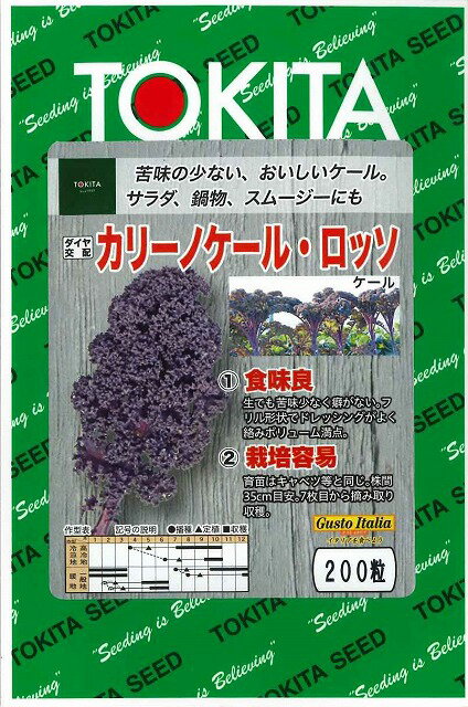 葉物　ケールカリーノケール・ロッソ200粒トキタ種苗（株）