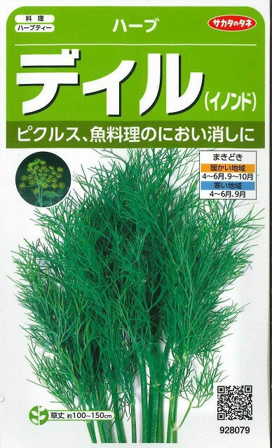 ハーブの種ディル　約700粒（株）サカタのタネ 実咲のサムネイル