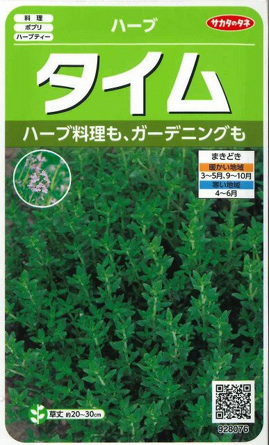 ハーブの種 タイム 約1500粒 (株)サカタのタネ 実咲（003183）