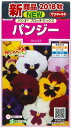 花の種 パンジー パシオ ブロッチミックス 約34粒 (株)サカタのタネ 実咲(026125)