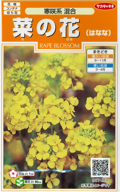 花の種　菜の花　寒咲系混合　約118粒サカタのタネのサムネイル