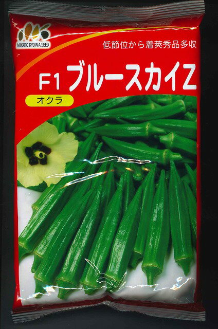 キャベツ 種 【 ネオルビー 】 小袋(DF 1.0ml) ( キャベツの種 )