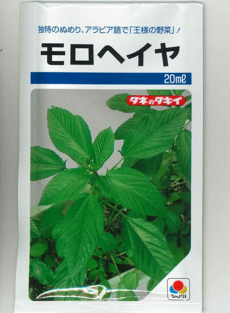 モロヘイヤ 20ml タキイ種苗(株)