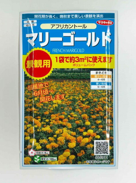 花の種 マリーゴールドアフリカントール約3平米用 （株）サカタのタネ 実咲