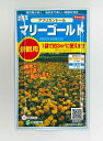 花の種　マリーゴールドアフリカントール約3平米用　（株）サカタのタネ 実咲