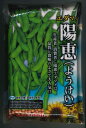 枝豆 陽恵 2000粒 カネコ種苗(株)